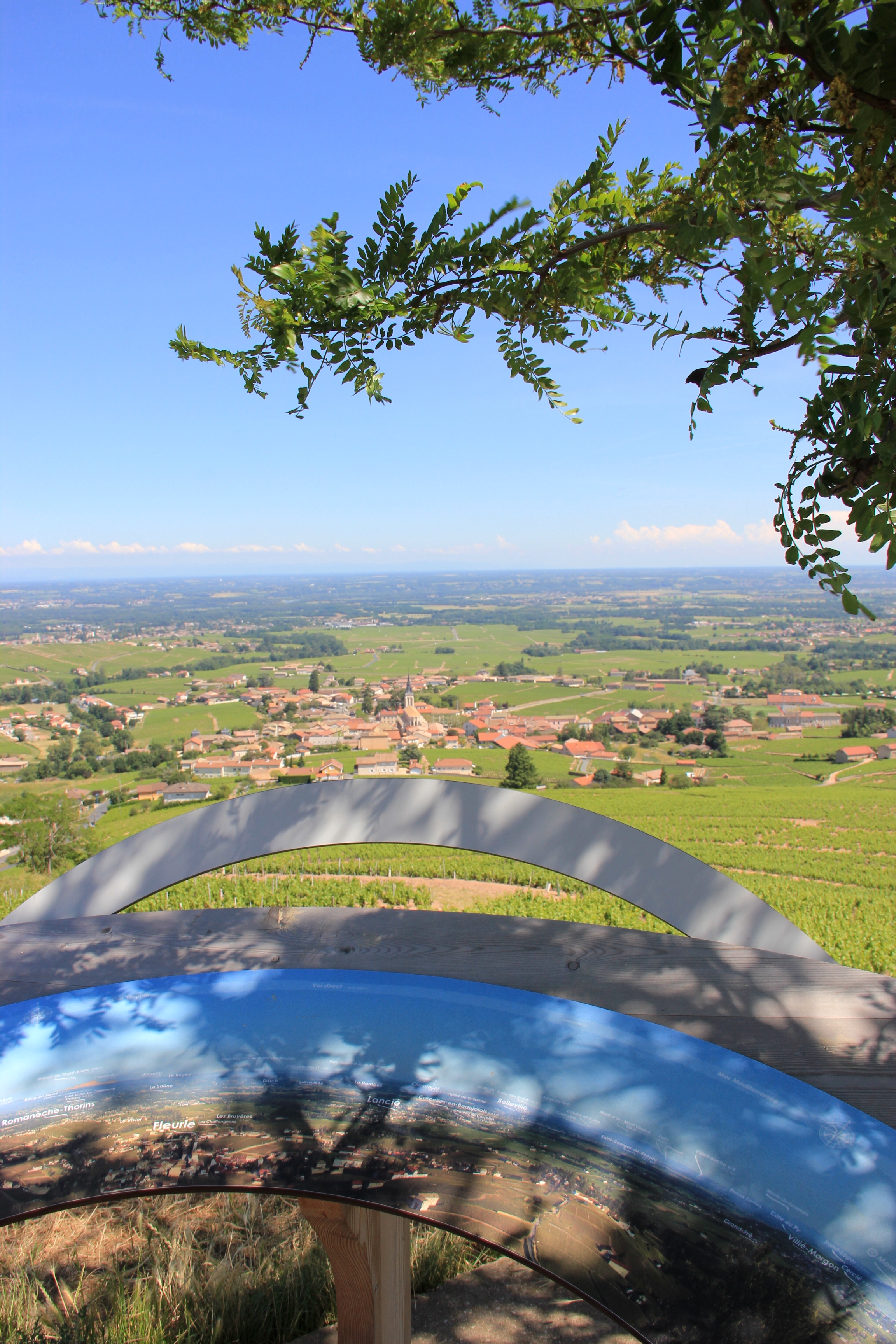 Dans les vignes du Beaujolais