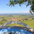 Dans les vignes du Beaujolais