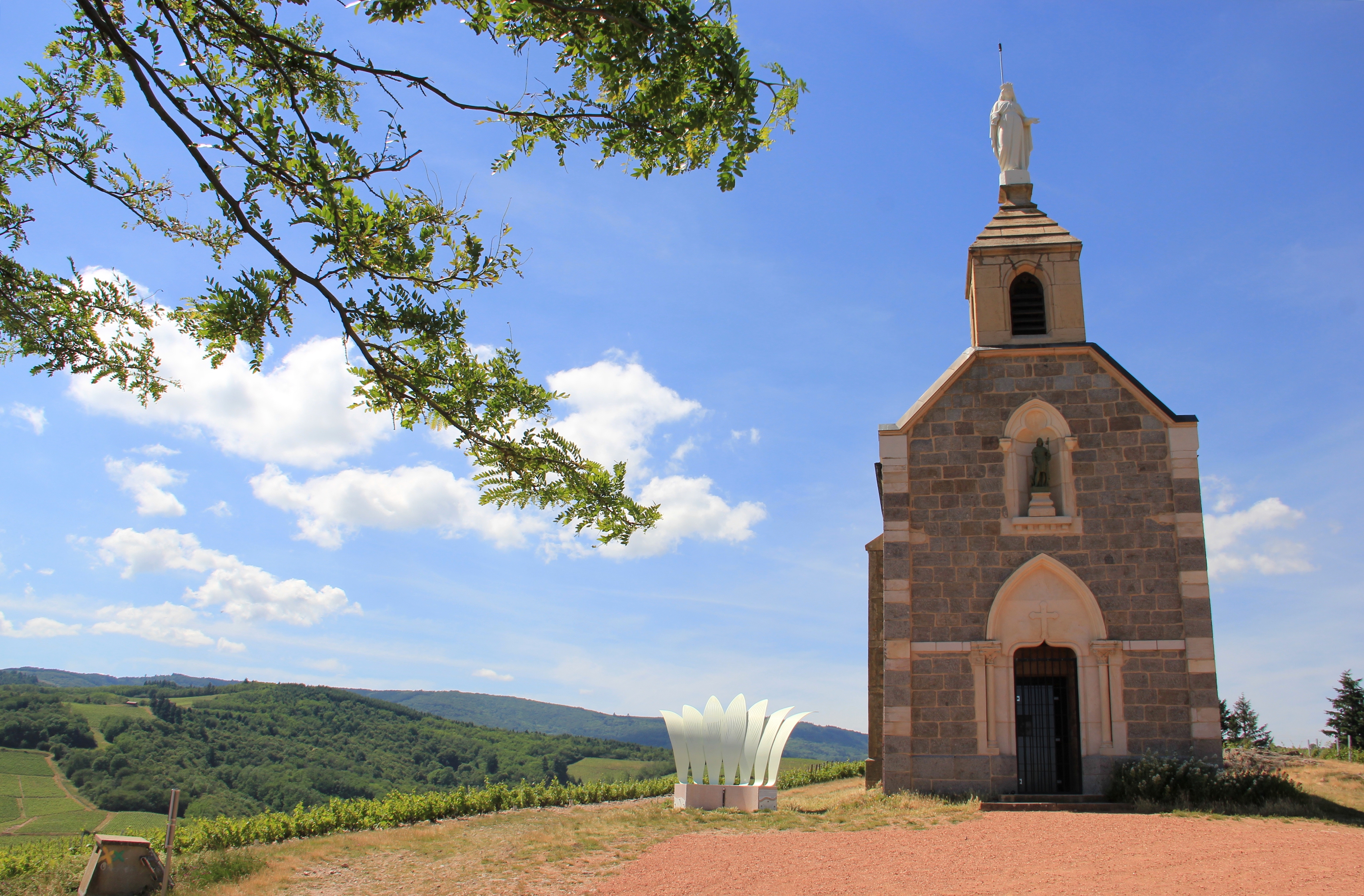 Dans les vignes du Beaujolais