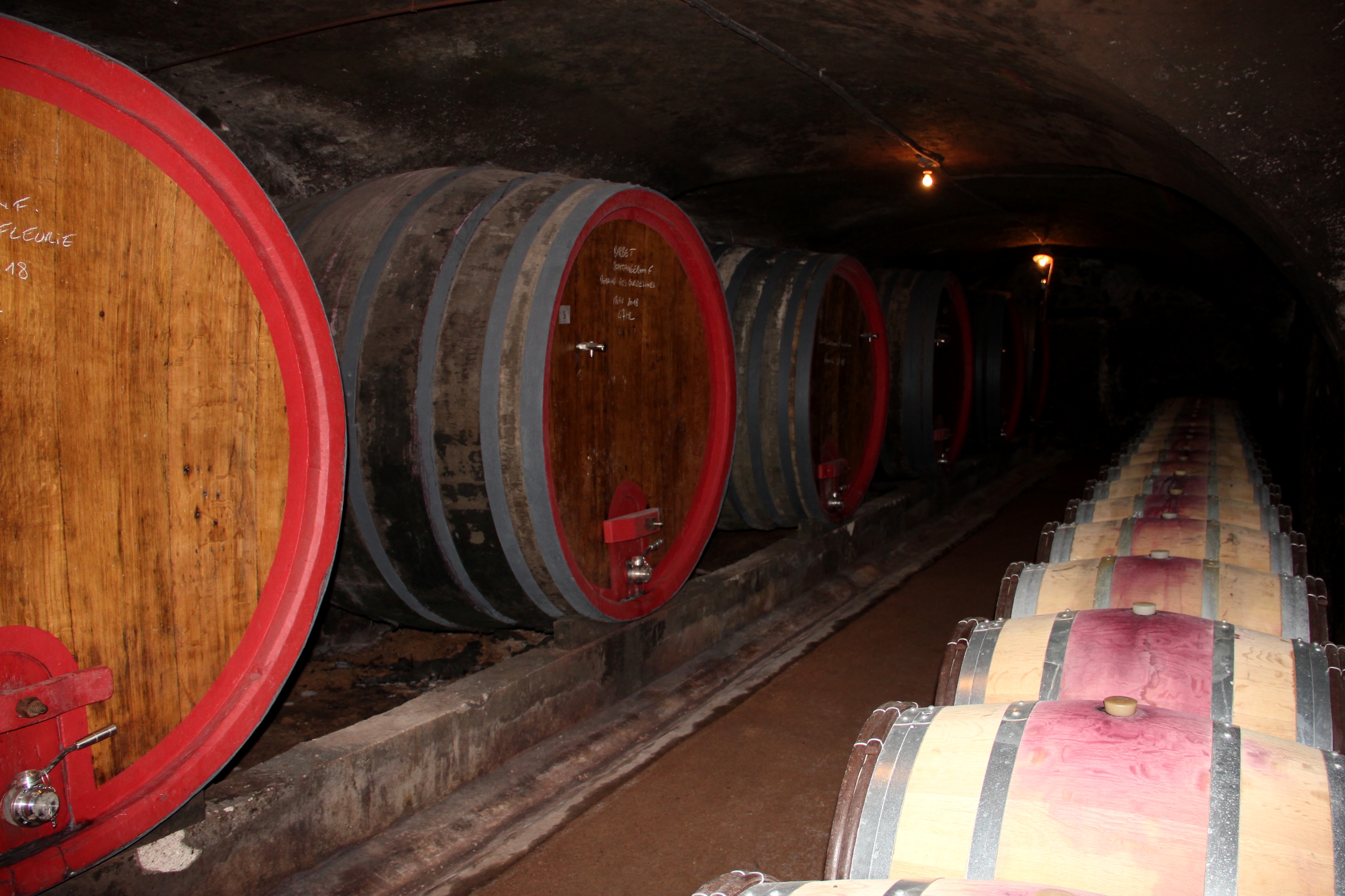 Dans les Caves de la Maison Jean Loron