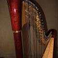 La harpe de Dorothée Cornec