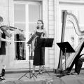 Le Trio Zerline en répétition