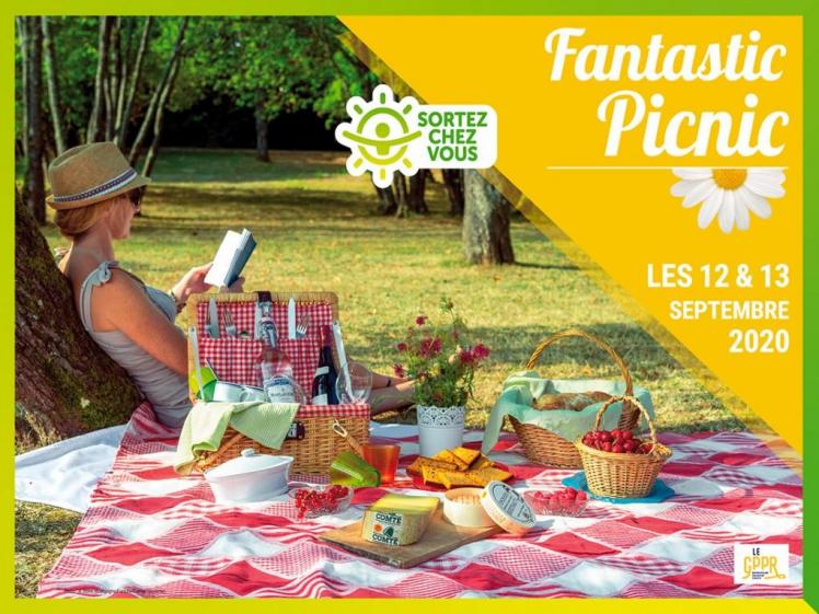 Image fantastic picnic 2020