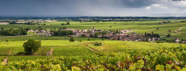 Maison louis jadot 05